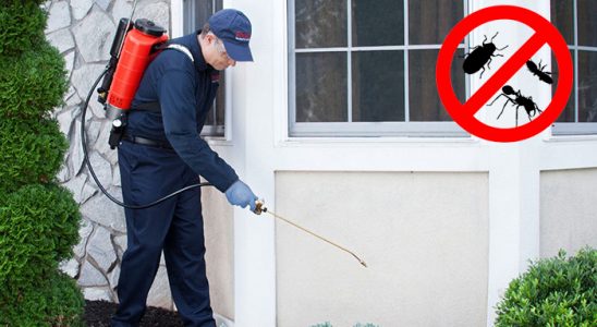 Araklı Kemirgen İlaçlama böcek ilaçlama ve haşere kontrolü — ilaclama-tr.com